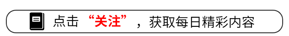 编码器精确性和数据输出，对墨轮纸盒打码机的打码质量有何影响？